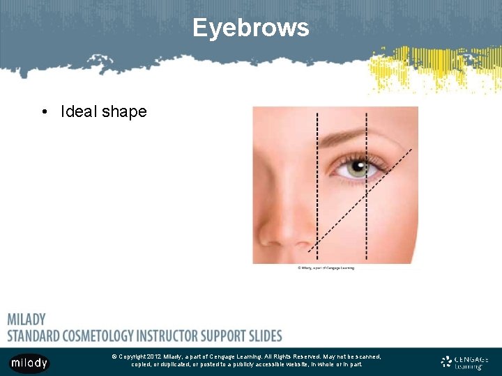 Eyebrows • Ideal shape © Copyright 2012 Milady, a part of Cengage Learning. All Eyebrows • Ideal shape © Copyright 2012 Milady, a part of Cengage Learning. All
