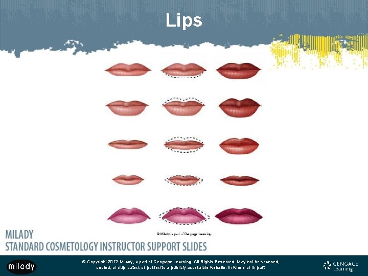 Lips © Copyright 2012 Milady, a part of Cengage Learning. All Rights Reserved. May Lips © Copyright 2012 Milady, a part of Cengage Learning. All Rights Reserved. May
