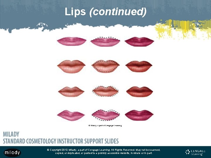Lips (continued) © Copyright 2012 Milady, a part of Cengage Learning. All Rights Reserved. Lips (continued) © Copyright 2012 Milady, a part of Cengage Learning. All Rights Reserved.
