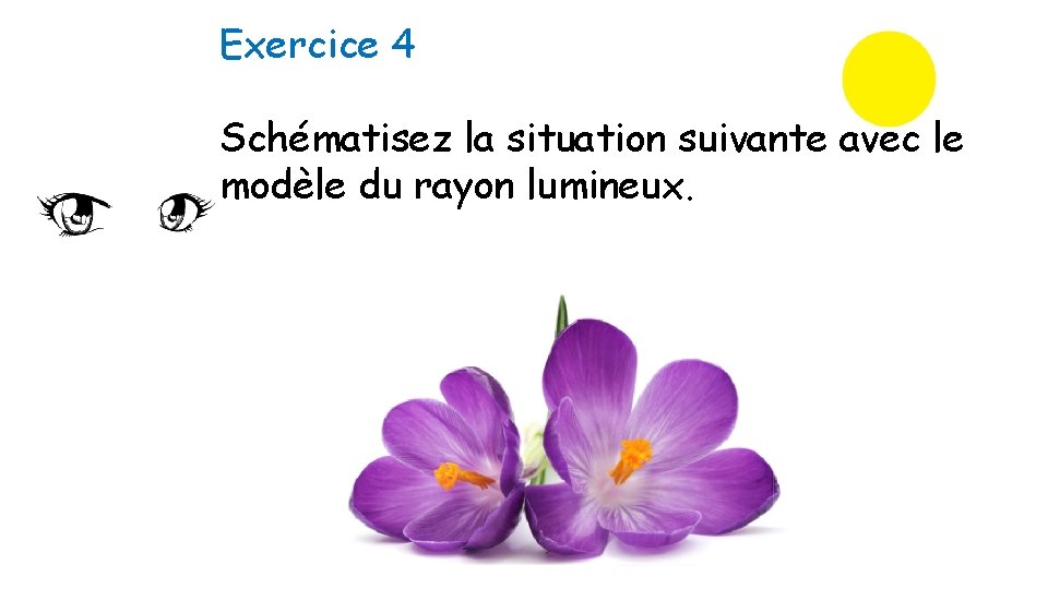 Exercice 4 Schématisez la situation suivante avec le modèle du rayon lumineux. 