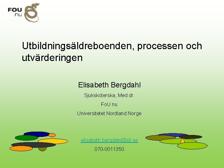 Utbildningsäldreboenden, processen och utvärderingen Elisabeth Bergdahl Sjuksköterska, Med dr. Fo. U nu Universitetet Nordland