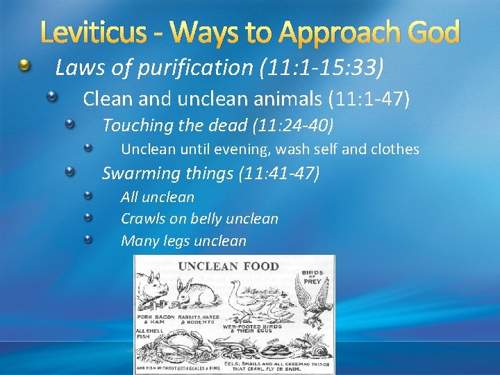 Leviticus - Ways to Approach God Laws of purification (11: 1 -15: 33) Clean