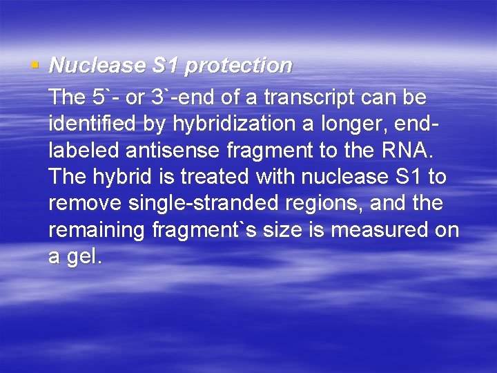 § Nuclease S 1 protection The 5`- or 3`-end of a transcript can be