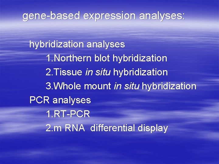 gene-based expression analyses: hybridization analyses 1. Northern blot hybridization 2. Tissue in situ hybridization