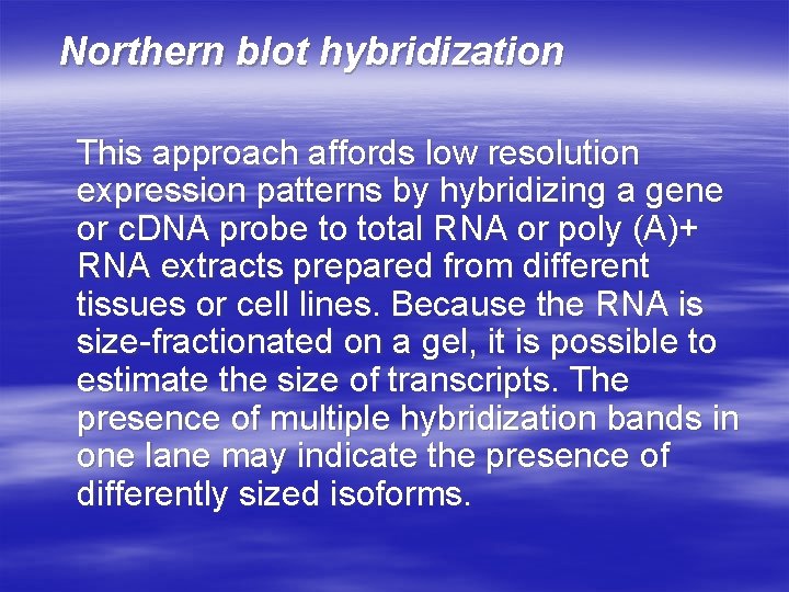 Northern blot hybridization This approach affords low resolution expression patterns by hybridizing a gene