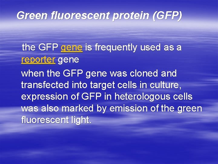 Green fluorescent protein (GFP) the GFP gene is frequently used as a reporter gene