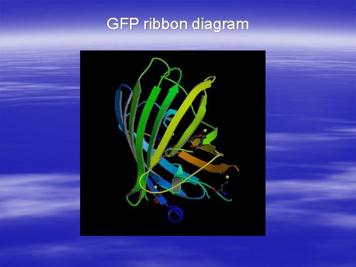 GFP ribbon diagram 