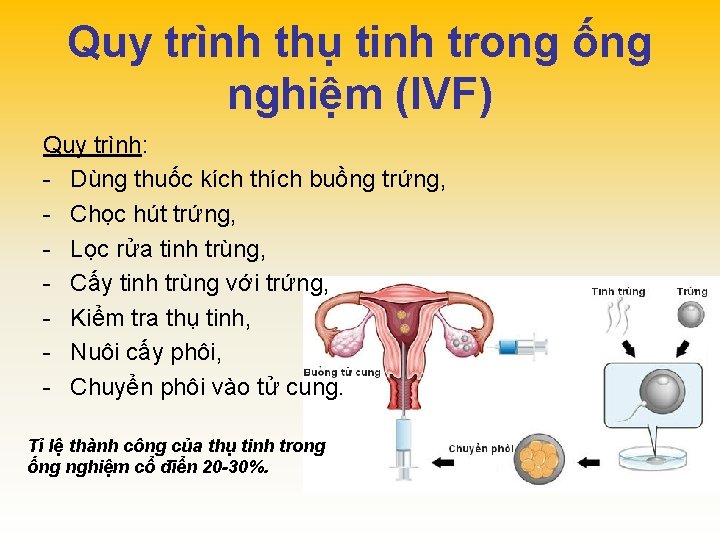 Quy trình thụ tinh trong ống nghiệm (IVF) Quy trình: - Dùng thuốc kích