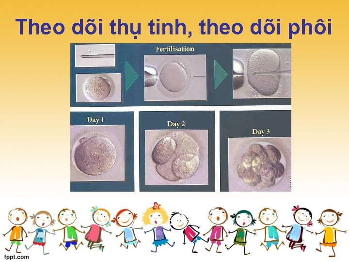 Theo dõi thụ tinh, theo dõi phôi 