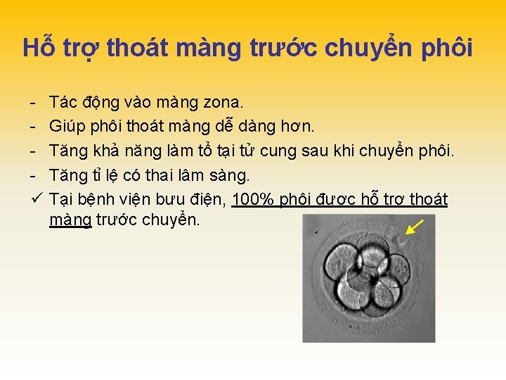 Hỗ trợ thoát màng trước chuyển phôi ü Tác động vào màng zona. Giúp