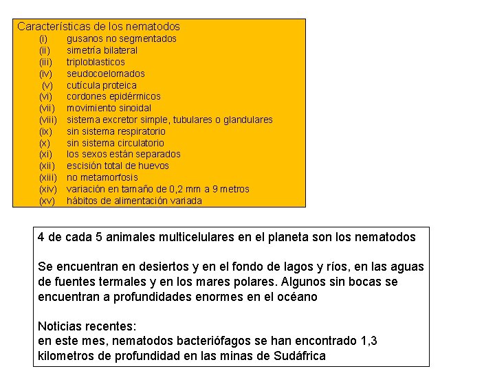 Características de los nematodos (i) (iii) (iv) (v) (vii) (viii) (ix) (xi) (xiii) (xiv)