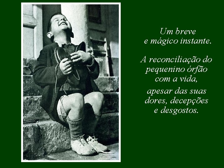 Um breve e mágico instante. A reconciliação do pequenino órfão com a vida, apesar