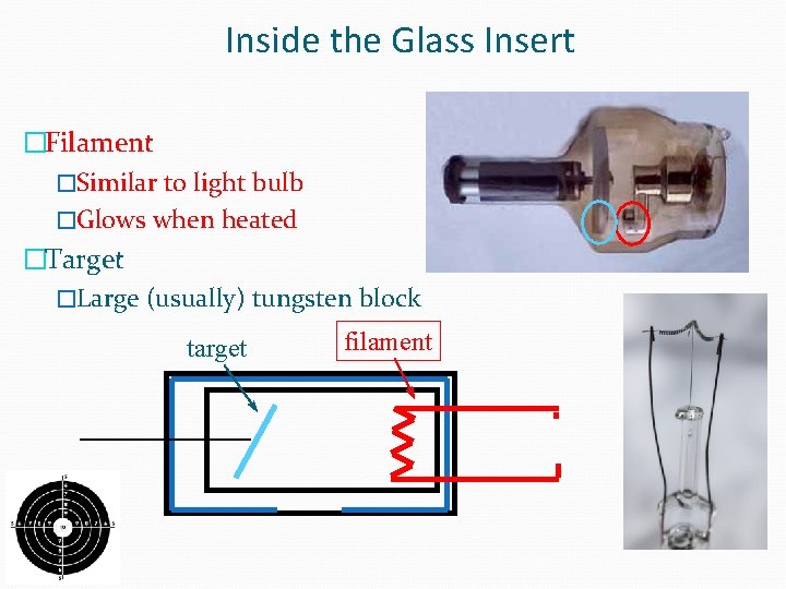 Inside the Glass Insert �Filament �Similar to light bulb �Glows when heated �Target �Large