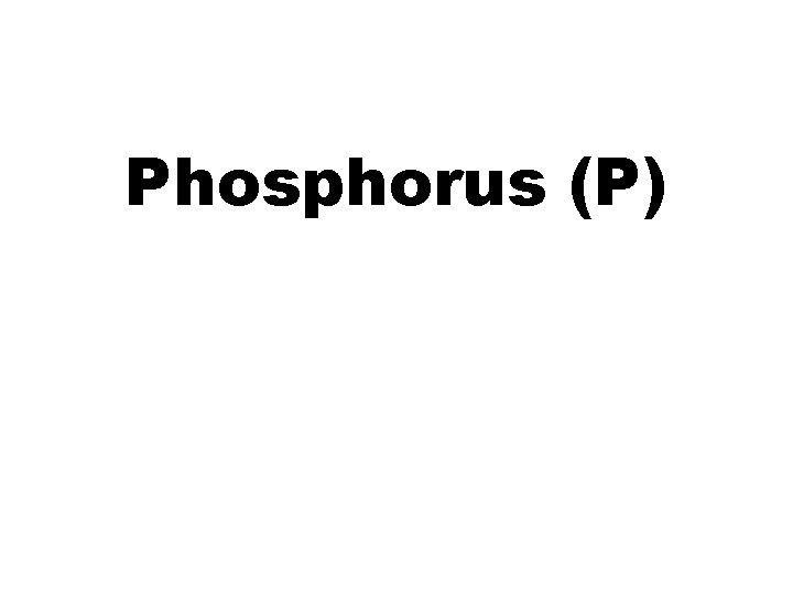 Phosphorus (P) 