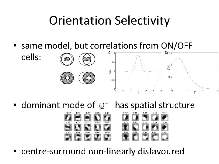 Orientation Selectivity • same model, but correlations from ON/OFF cells: • dominant mode of