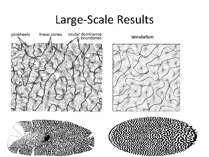 Large-Scale Results simulation 