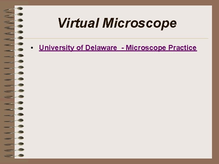 Virtual Microscope • University of Delaware - Microscope Practice 
