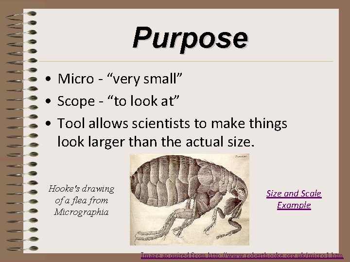 Purpose • Micro - “very small” • Scope - “to look at” • Tool