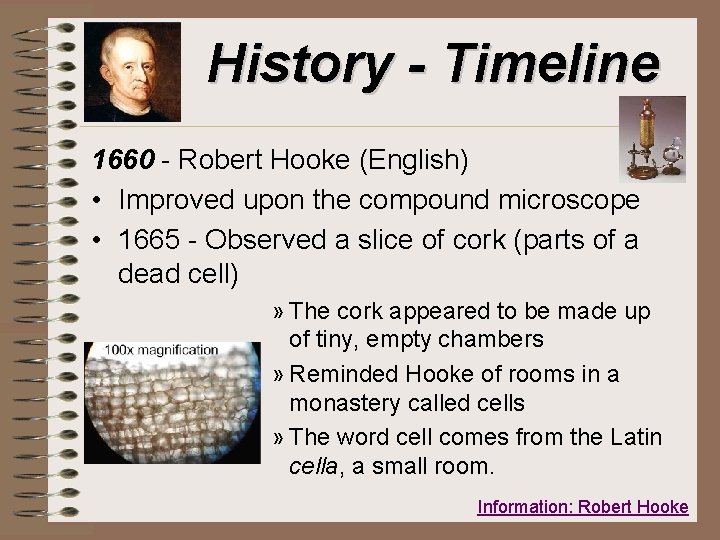 History - Timeline 1660 - Robert Hooke (English) • Improved upon the compound microscope