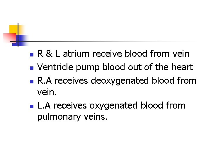 n n R & L atrium receive blood from vein Ventricle pump blood out