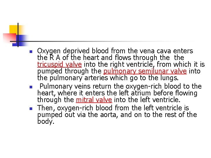 n n n Oxygen deprived blood from the vena cava enters the R A