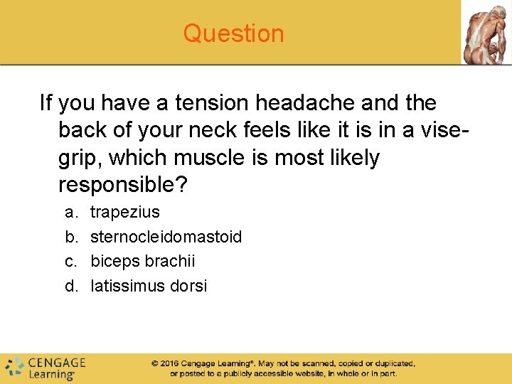 Question If you have a tension headache and the back of your neck feels Question If you have a tension headache and the back of your neck feels