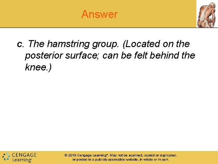 Answer c. The hamstring group. (Located on the posterior surface; can be felt behind Answer c. The hamstring group. (Located on the posterior surface; can be felt behind