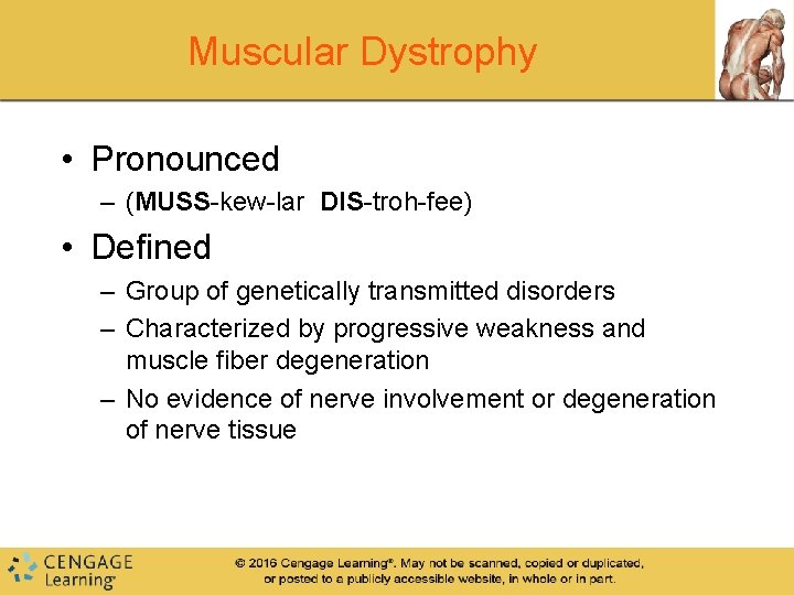Muscular Dystrophy • Pronounced – (MUSS-kew-lar DIS-troh-fee) • Defined – Group of genetically transmitted Muscular Dystrophy • Pronounced – (MUSS-kew-lar DIS-troh-fee) • Defined – Group of genetically transmitted