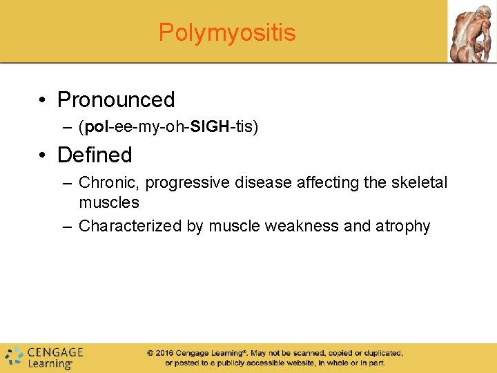 Polymyositis • Pronounced – (pol-ee-my-oh-SIGH-tis) • Defined – Chronic, progressive disease affecting the skeletal Polymyositis • Pronounced – (pol-ee-my-oh-SIGH-tis) • Defined – Chronic, progressive disease affecting the skeletal