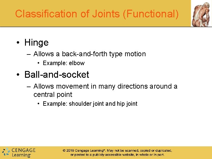 Classification of Joints (Functional) • Hinge – Allows a back-and-forth type motion • Example: Classification of Joints (Functional) • Hinge – Allows a back-and-forth type motion • Example: