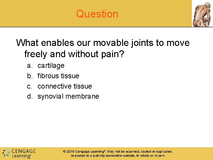 Question What enables our movable joints to move freely and without pain? a. b. Question What enables our movable joints to move freely and without pain? a. b.
