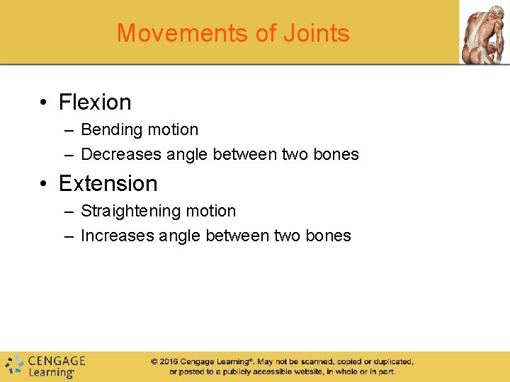 Movements of Joints • Flexion – Bending motion – Decreases angle between two bones Movements of Joints • Flexion – Bending motion – Decreases angle between two bones