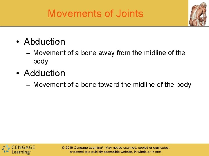 Movements of Joints • Abduction – Movement of a bone away from the midline Movements of Joints • Abduction – Movement of a bone away from the midline