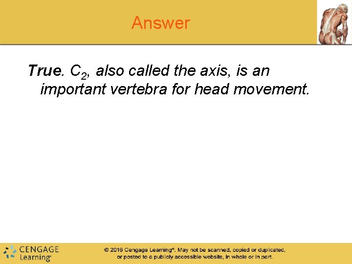 Answer True. C 2, also called the axis, is an important vertebra for head Answer True. C 2, also called the axis, is an important vertebra for head