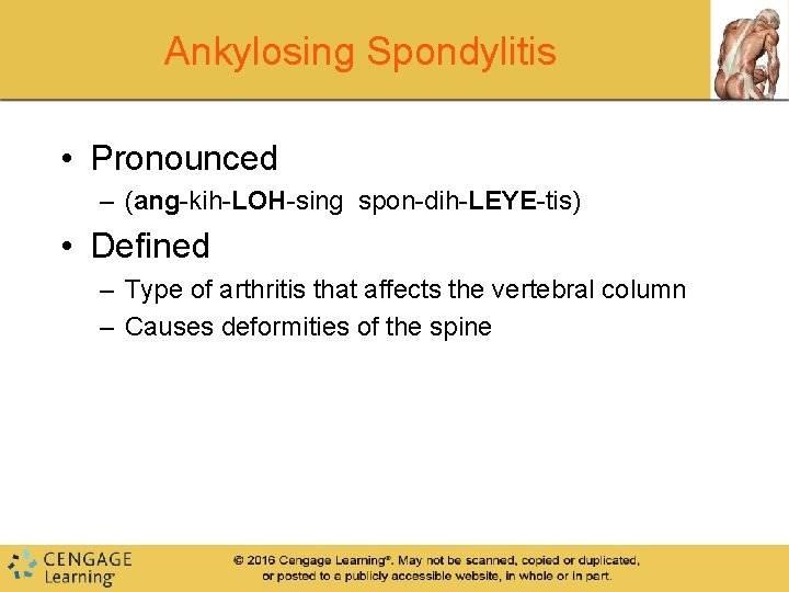 Ankylosing Spondylitis • Pronounced – (ang-kih-LOH-sing spon-dih-LEYE-tis) • Defined – Type of arthritis that Ankylosing Spondylitis • Pronounced – (ang-kih-LOH-sing spon-dih-LEYE-tis) • Defined – Type of arthritis that