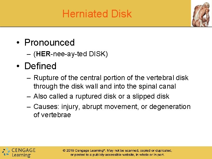 Herniated Disk • Pronounced – (HER-nee-ay-ted DISK) • Defined – Rupture of the central Herniated Disk • Pronounced – (HER-nee-ay-ted DISK) • Defined – Rupture of the central