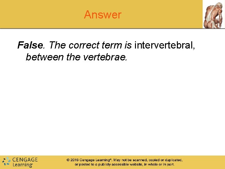 Answer False. The correct term is intervertebral, between the vertebrae. Answer False. The correct term is intervertebral, between the vertebrae.