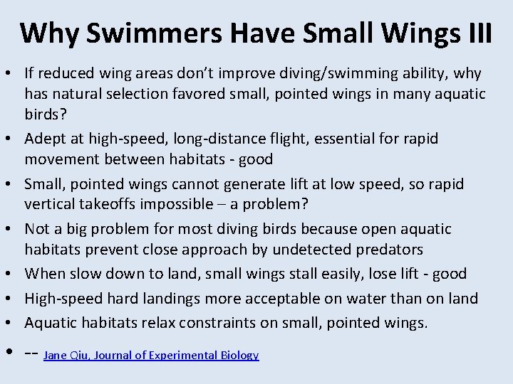 Why Swimmers Have Small Wings III • If reduced wing areas don’t improve diving/swimming