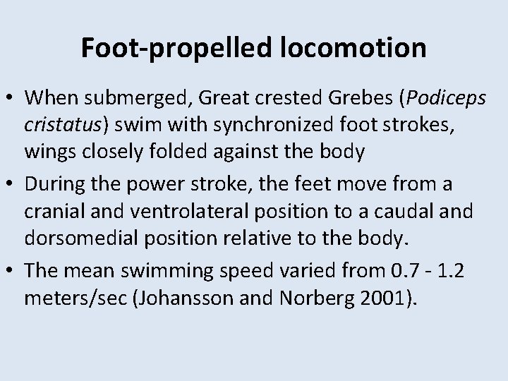 Foot-propelled locomotion • When submerged, Great crested Grebes (Podiceps cristatus) swim with synchronized foot