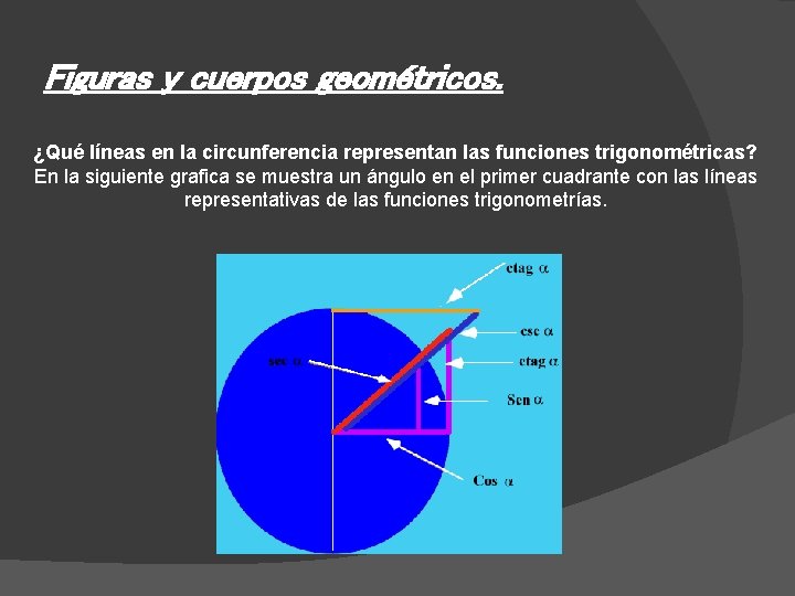 Figuras y cuerpos geométricos. ¿Qué líneas en la circunferencia representan las funciones trigonométricas? En
