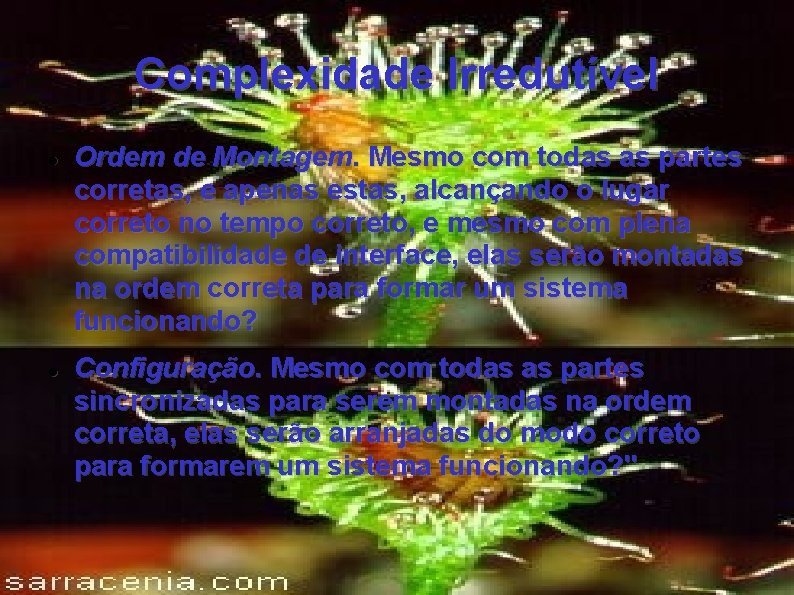 Complexidade Irredutível Ordem de Montagem. Mesmo com todas as partes corretas, e apenas estas,