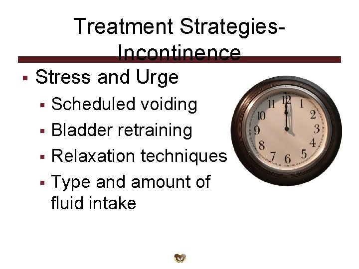 Treatment Strategies. Incontinence § Stress and Urge Scheduled voiding § Bladder retraining § Relaxation