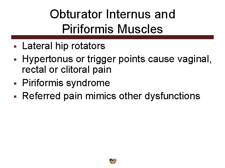 Obturator Internus and Piriformis Muscles § § Lateral hip rotators Hypertonus or trigger points