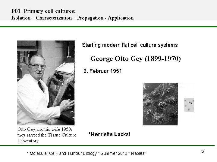 P 01_Primary cell cultures: Isolation – Characterization – Propagation Application Starting modern flat cell