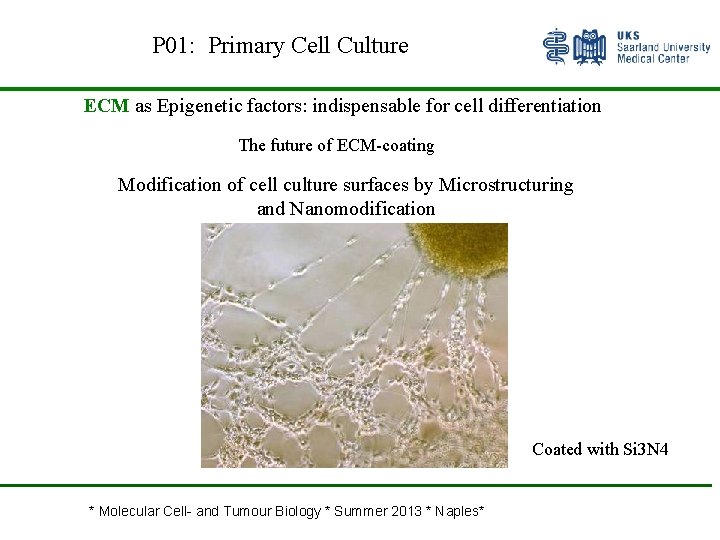 P 01: Primary Cell Culture ECM as Epigenetic factors: indispensable for cell differentiation The