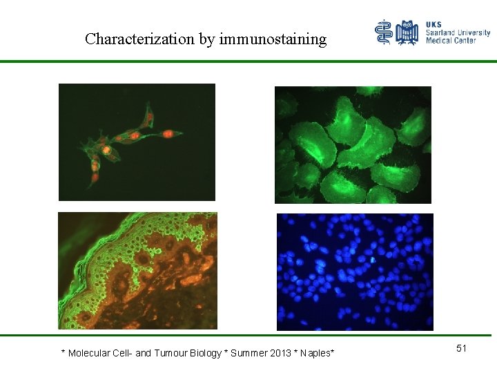 Characterization by immunostaining * Molecular Cell- and Tumour Biology * Summer 2013 * Naples*