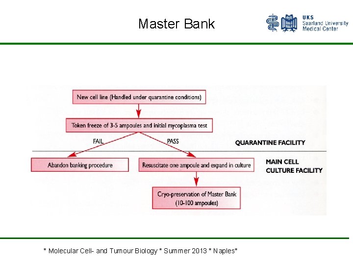 Master Bank * Molecular Cell- and Tumour Biology * Summer 2013 * Naples* 