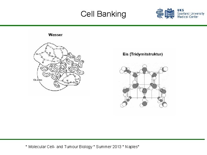 Cell Banking * Molecular Cell- and Tumour Biology * Summer 2013 * Naples* 