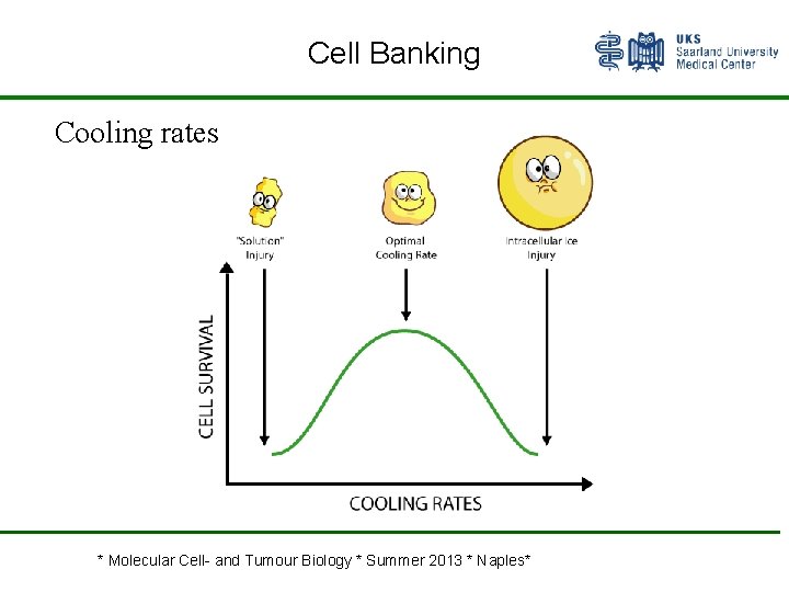 Cell Banking Cooling rates * Molecular Cell- and Tumour Biology * Summer 2013 *