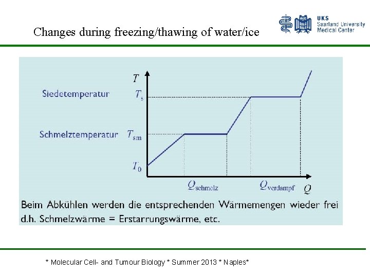 Changes during freezing/thawing of water/ice * Molecular Cell- and Tumour Biology * Summer 2013